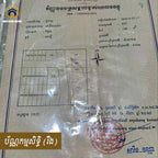 ផ្ទះកែងលក់សល់ដីចំហៀងធំ - ទីតាំងល្អ មានចំណូលជួលស្រាប់
